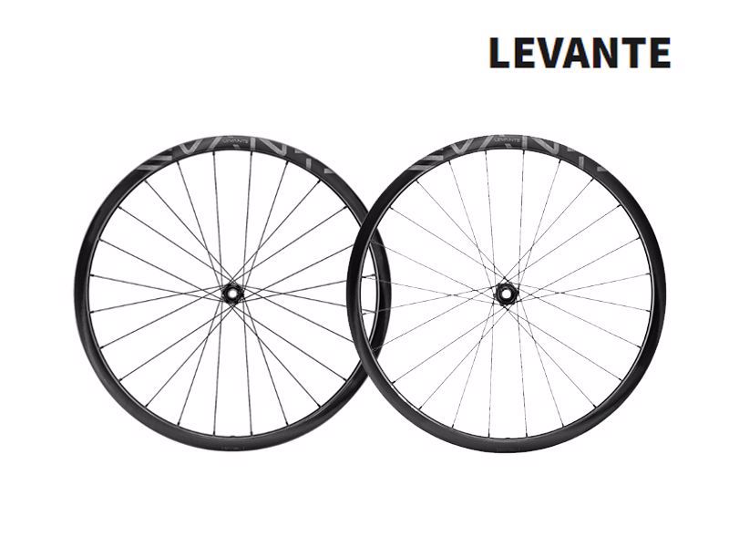 Campagnolo LEVANTE 700C DB 2WF PAIR HG