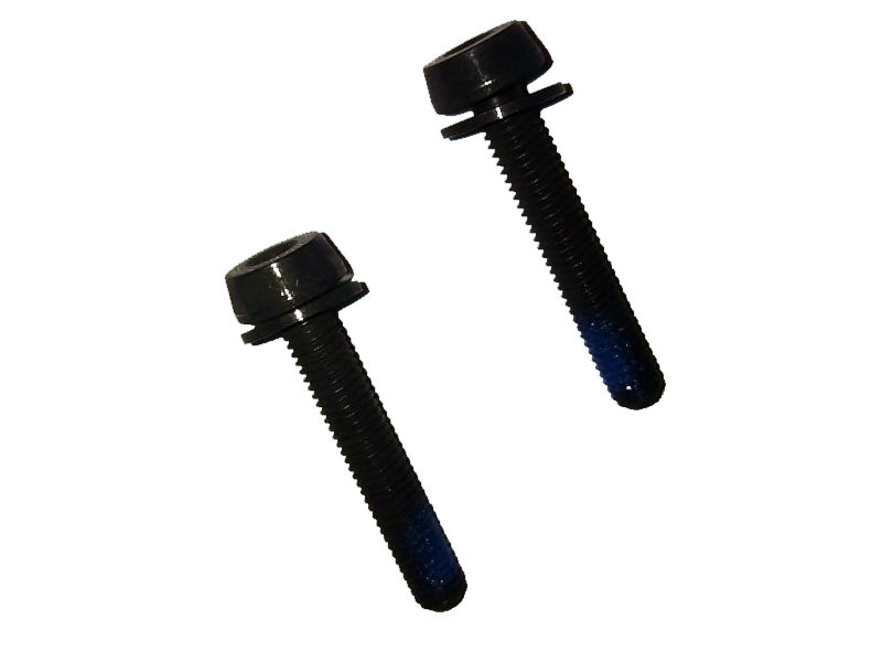 Campagnolo 2 x 24mm screws for 15-19 mm rear mount thickness
