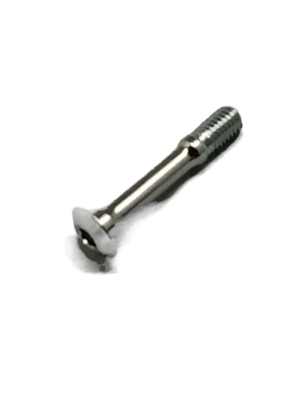 Campagnolo screw for DM brakes (LOS)