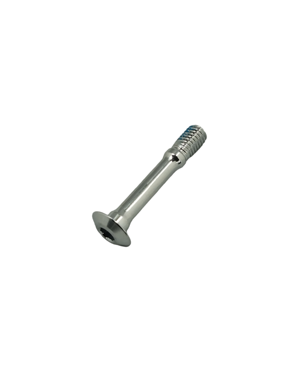 Campagnolo screw for DM brakes (2 pcs)