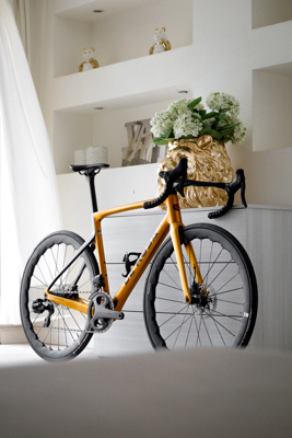 De Rosa SETTANTA DB - Gold MATT - Frameset