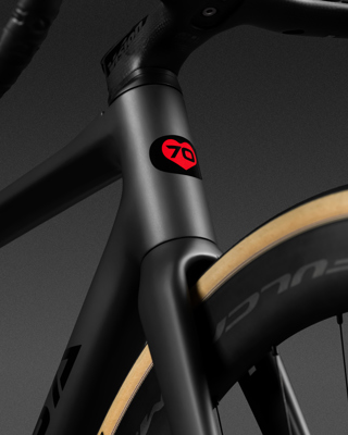 De Rosa SETTANTA DB - STONE MATT - Frameset