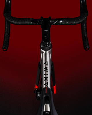 De Rosa ANIMA DISC - Frame - De Rosa