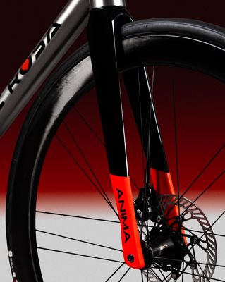 De Rosa ANIMA DISC - Frame - De Rosa