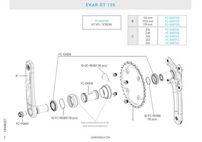 Campagnolo 175 mm - EKAR GT 13s crankset