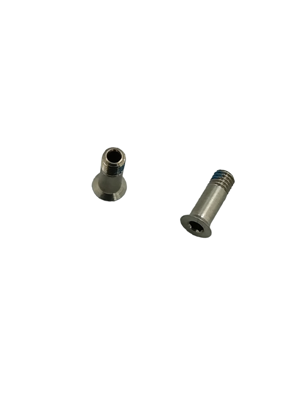 Campagnolo RD-CH030 - derailleur pulleys fixing screw (2 pcs.)