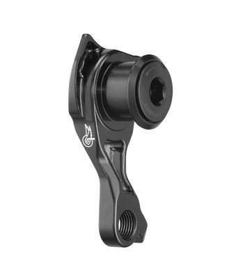 Campagnolo SR WRL 13s direct rear derailleur