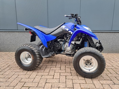 Kymco KXR 250 Sport met kenteken