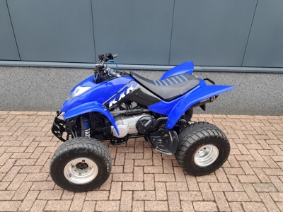 Kymco KXR 250 Sport met kenteken