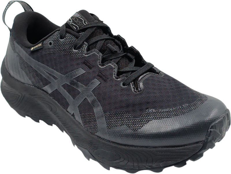 Asics Gel-Trabuco 12 GTX black/graphite grey