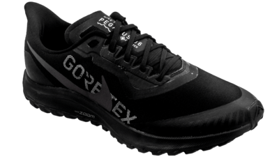 Nike Zoom Pegasus 36 Trail GTX black/thunder grey