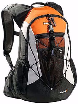 backpack Minnesota 35