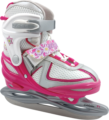 Hockeyskate