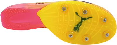 Adidas EvoSpeed Dist Nitro Elite+4