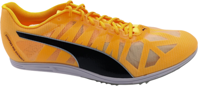 EvoSpeed Mid-Distance 4 sun stream-puma black