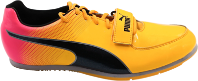 EvoSpeed Long Jump 10 sun stream-sunset glow-black