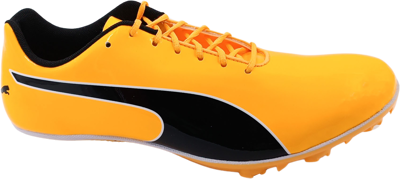 EvoSpeed Sprint 14 sun stream-sunset glow-black