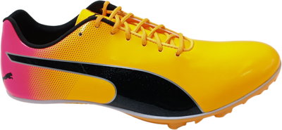 EvoSpeed Sprint 14.5 sun stream-puma black-white