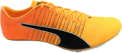 EvoSpeed Brush 6 sun stream-sunset glow-black