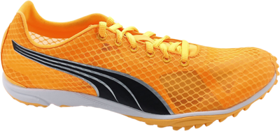 EvoSpeed Haraka 7 sun stream-sunset glow-black