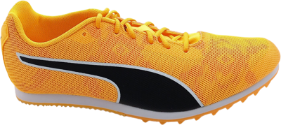 EvoSpeed Star 8 sun stream-sunset glow-black