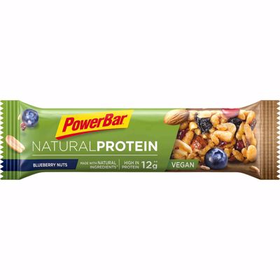 Natural protein: blueberry nuts