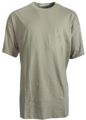  T-shirt taupe