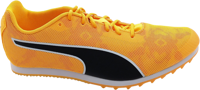 EvoSpeed Star 8 sun stream-sunset glow-black