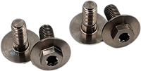 titanium shoe fastener set