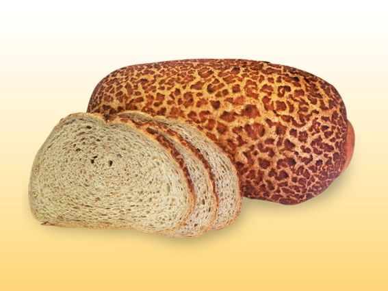 Bruin tijger