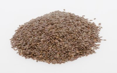 Bio Lijnzaad (100gr)