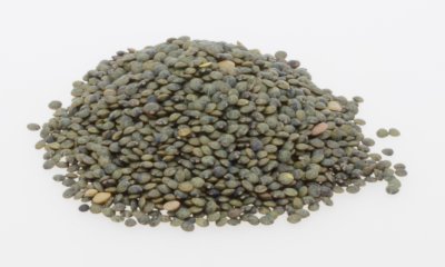 Linzen (100gr)