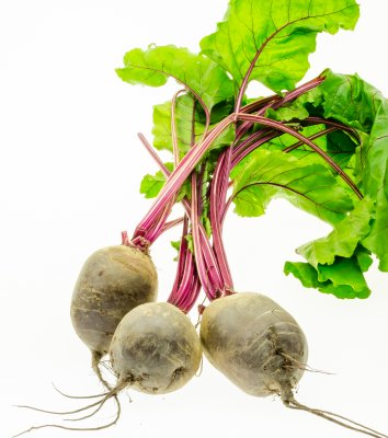 Boskrootjes