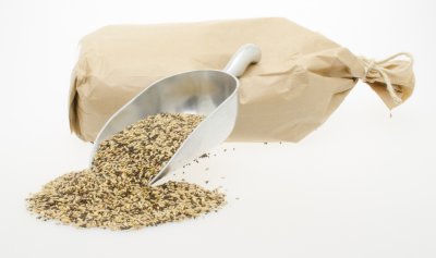 Kanarie zangzaad (3 kg)