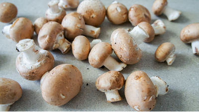 Kastanjechampignons (doos a 250 gram)