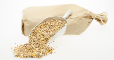 Tortelduivenvoer Fijn (5 kg)