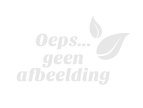 Zeeuwse Knoop kaars wit