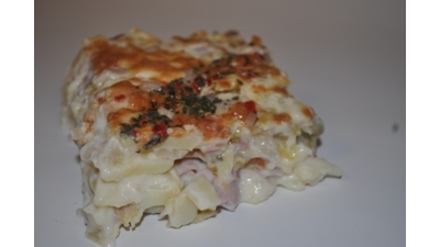Witlofschotel (500 gram)