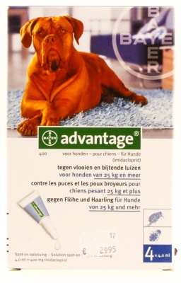 Advantage hond (> 25kg)