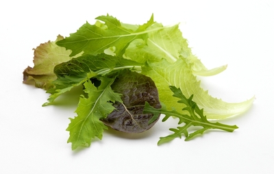 Slafamilie (100 gr)