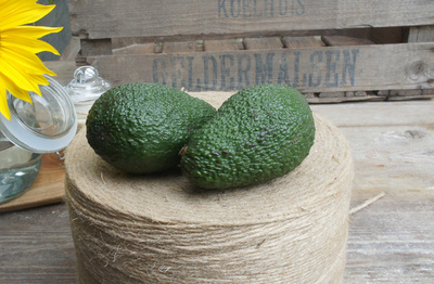 Bio avocado (st)