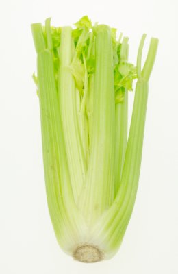 Bleekselderij