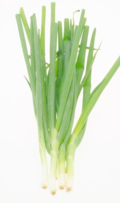 Bio bosui (bos)