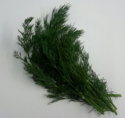 Dille (20 gram)