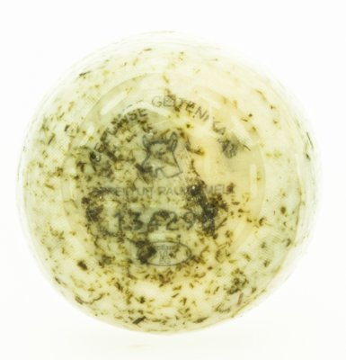 Geitenkaas brandnetel (bolletje 500 gram)
