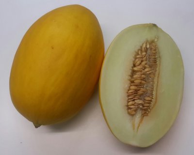 Gele honingmeloen