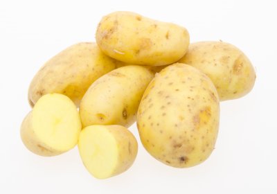 Aardappel Nicola is NIEUWE OOGST (import)