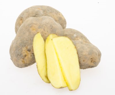 Aardappel voor FRIETJES