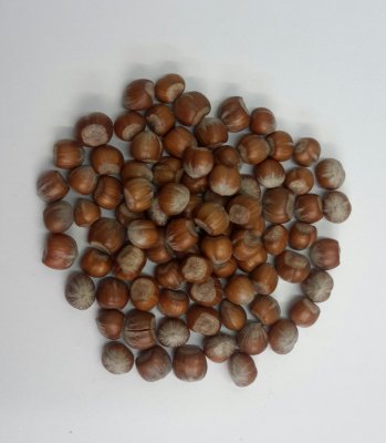 Hazelnoot In Dop (prijs per 200 gram)