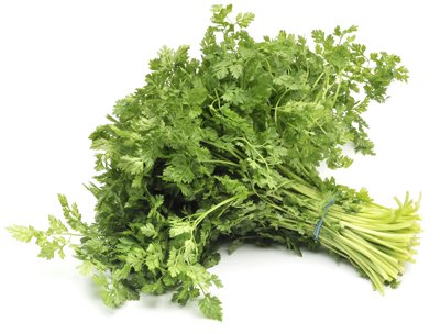 Verse kervel (20 gram)